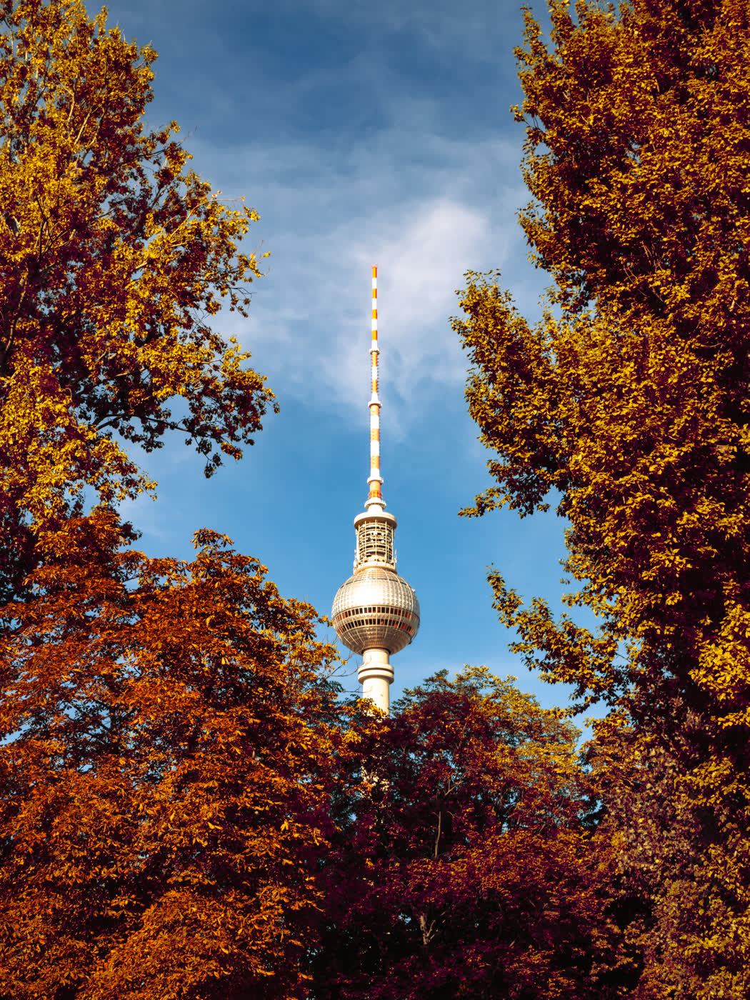 Berliner Fernsehturm zwischen herbstlichem Laub — Martina Ziegler
